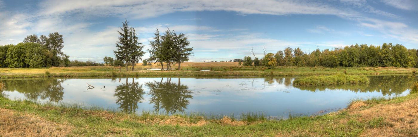 Ankeny Hill Resort & Boarding Pond View