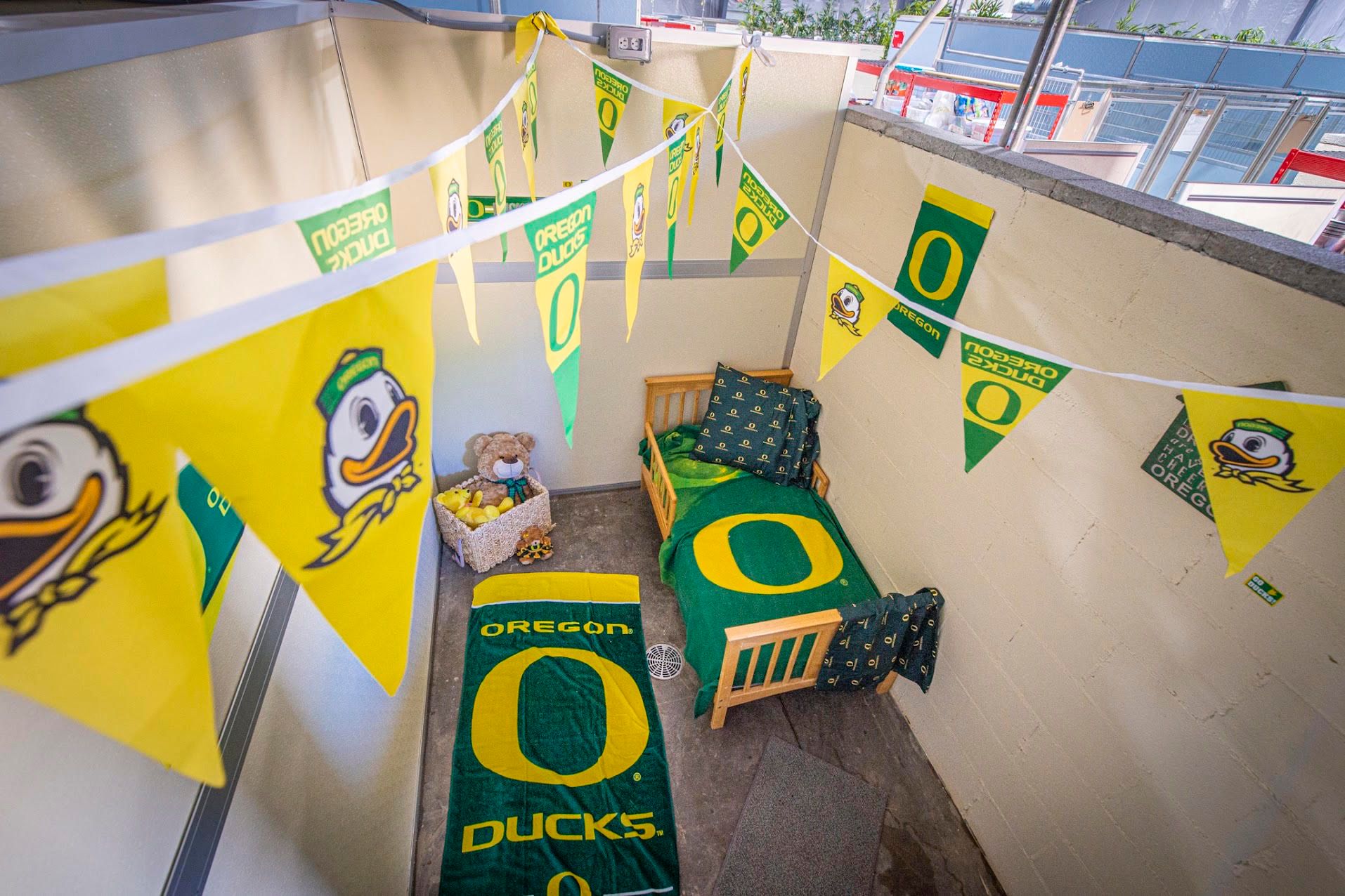 Oregon Ducks themed room for dogs at Ankeny Hill Resort and Boarding